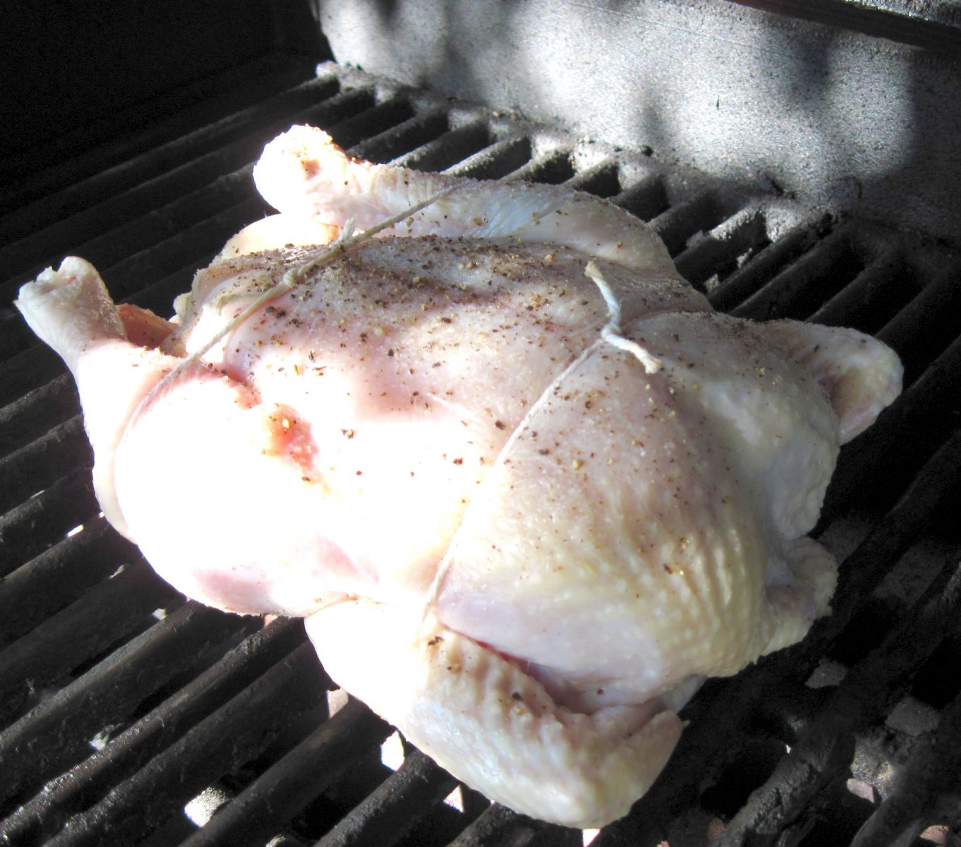 Turkey ready to be grilled. Cook turkey on gas grill